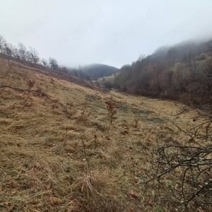 vând teren 3 60 hectare și casă din lemn stejar 3camere și magazi și o șură, grajd  fântână în elect