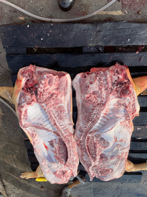 vand porci rasa de carne  - imagine 4