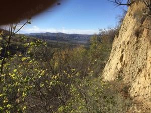 De vânzare 2 hectare de pădure de fag virgina in judetul Buzau - imagine 5