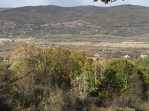 De vânzare 2 hectare de pădure de fag virgina in judetul Buzau - imagine 4