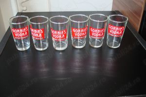 Set pahare vodca Gorbies Vodka