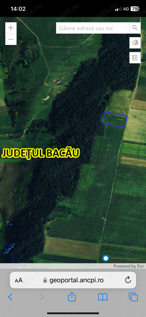 Vand Teren extravilan arabil Com. Traian jud. Bacau - 6.000 mp - 6.000 euro neg. - imagine 3