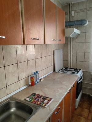 Teiul Doamnei - apartament 2 camere inchiriere - imagine 8