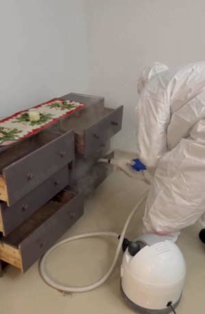 Dezinsectie, Dezinfectie, preturi competitive 600 ron   3 sedinte! - imagine 3