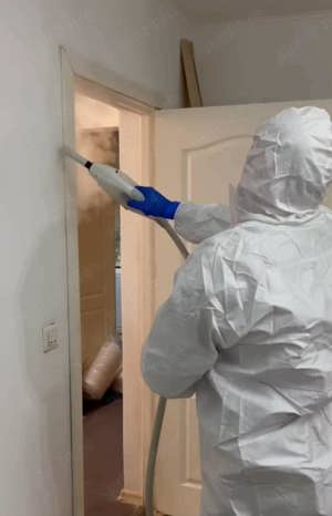 Dezinsectie, Dezinfectie, preturi competitive 600 ron   3 sedinte!