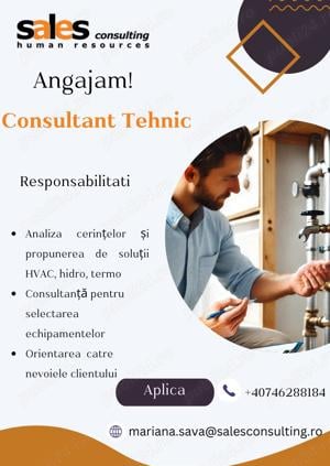 Consultant Tehnic