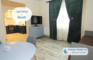 Apartament la casa de inchiriat, 2 Camere, Open Space, Central, Oradea