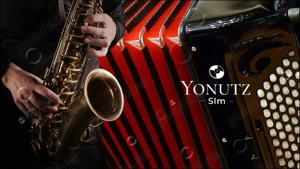 Muzică de zonă(Nuntă)