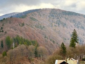 Apartament Premium 2 camere, Sinaia cu vedere la munte - imagine 4