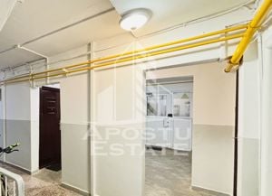 Apartament cu 2 camere renovat, centrala proprie, zona Sagului - imagine 12