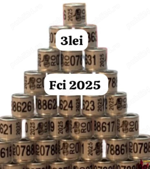 inele Fci 2025 - imagine 2