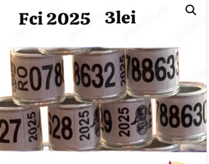 inele Fci 2025