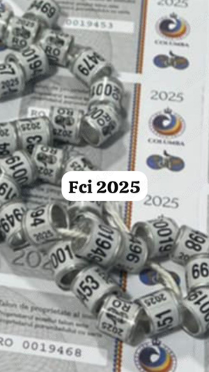 inele Fci 2025 - imagine 5
