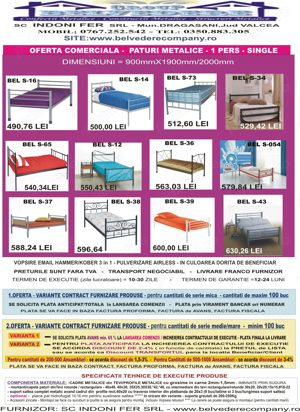 Paturi metalice single-modele diverse-Livrare din STOC sau la Comanda - imagine 5