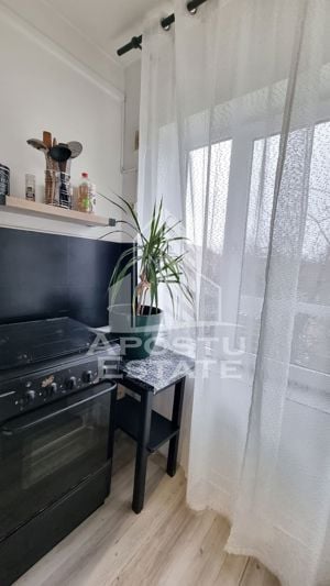 Apartament 2 camere, etaj 1, centrala proprie, zona Calea Lipovei - imagine 3