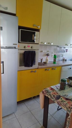 APARTAMENT GHICA PLAZA - imagine 7