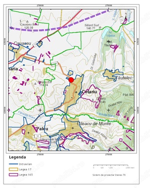 Teren intravilan 7176 mp, in Cetariu, zona in continua dezvoltare - imagine 2