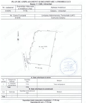 Teren intravilan 7176 mp, in Cetariu, zona in continua dezvoltare - imagine 5