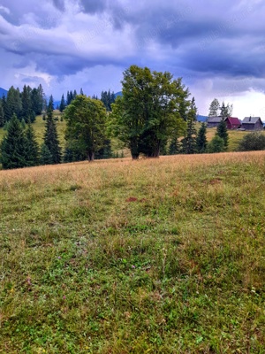 Teren intravilan, 25 arii, Piatra-Fantanele,1200 pe arie - imagine 3