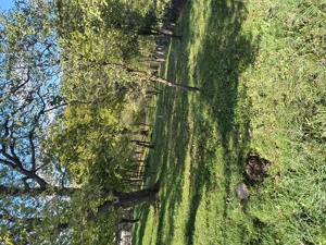 Teren de vânzare  - imagine 6