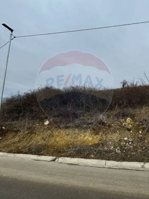 Teren Dezmir 2900 mp de vânzare, strada Trandafirilor, 0% Comision - imagine 2