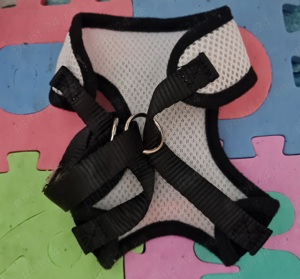 Ham catelusi  - imagine 2 Ham catelusi  - imagine 2