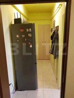 Apartament 2 camere, 47 mp, zona Horea - imagine 3