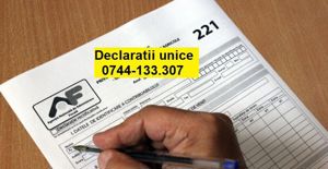 Declaratii unice Timisoara pentru PFA si persoane fizice