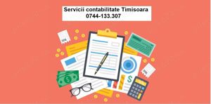 Servicii contabilitate Timisoara ONG,SRL,PFA,II,CMI,IF
