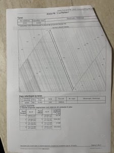 Vand 4,5 ha extravilan arabil Fartanesti - imagine 4