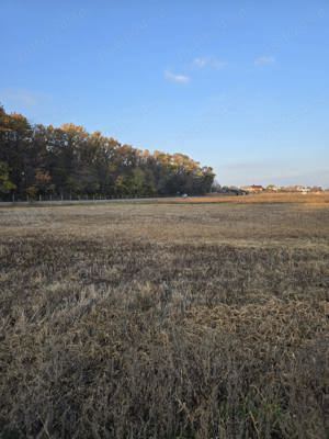 Teren intravilan Calugareni ( Giurgiu )