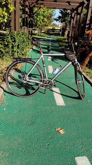 Bicicleta Cultima Sport 