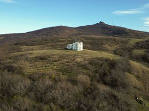 Castel cu vedere panoramică pe dealul Șiriei - imagine 10