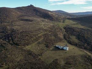 Castel cu vedere panoramică pe dealul Șiriei - imagine 12