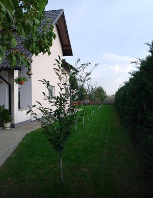 Casa individuala, 6 camere,  250 mp, 600 mp de teren, Suceava (Moara) - imagine 12