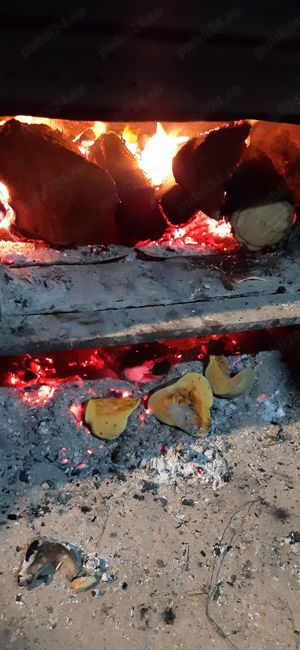 Vând palincă 100% prune,origine zona Cluj.  - imagine 2