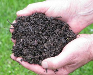 Mraniță, gunoi de grajd, la saci, transport la domiciliu in Iasi sau împrejurimi