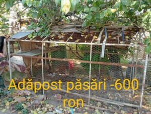  Adăpost pt.pasari  Rafturi pt. Magazin