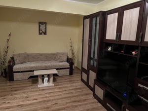 Apartament 1 camera, parter, zona General, 35mp - imagine 7