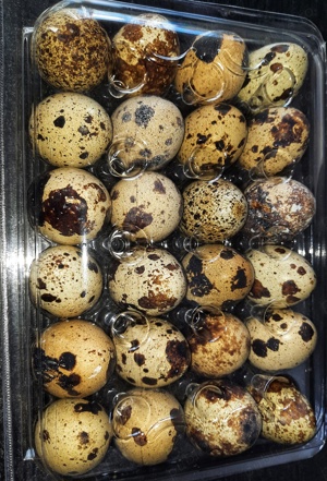 Crescătoria de Prepelițe Slobozia ,Ouă de prepeliță JAPONEZA GIGANT,de vânzare pentru incubat  - imagine 4