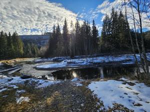 Teren Obarsia Lotrului Vidra Transalpina Ski - Posibilitate plata rate