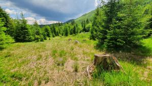 Teren Obarsia Lotrului Vidra Transalpina Ski - Posibilitate plata rate - imagine 4