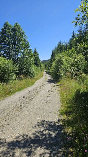 Teren Obarsia Lotrului Vidra Transalpina Ski - Posibilitate plata rate - imagine 2