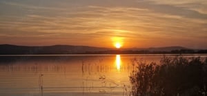 Vila de lux cu piscina, sauna si iesire - acces la lacul Casla - imagine 20