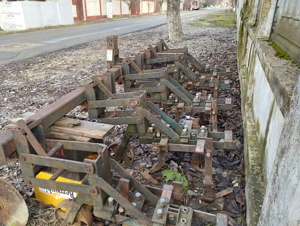 prasitoare si grape - imagine 6