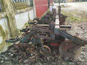 prasitoare si grape - imagine 5