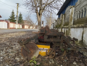 prasitoare si grape - imagine 2