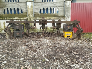 prasitoare si grape - imagine 7