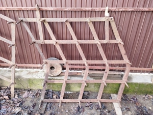 prasitoare si grape - imagine 3