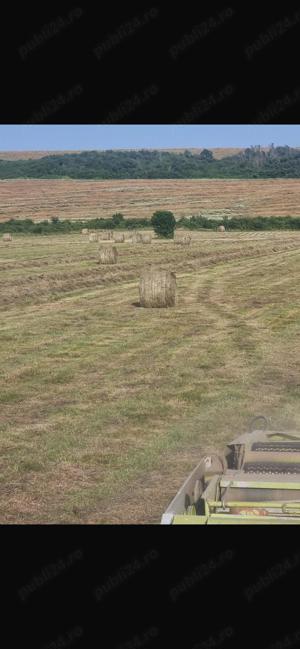 Vând Baloți de fan 450 kg bucata 